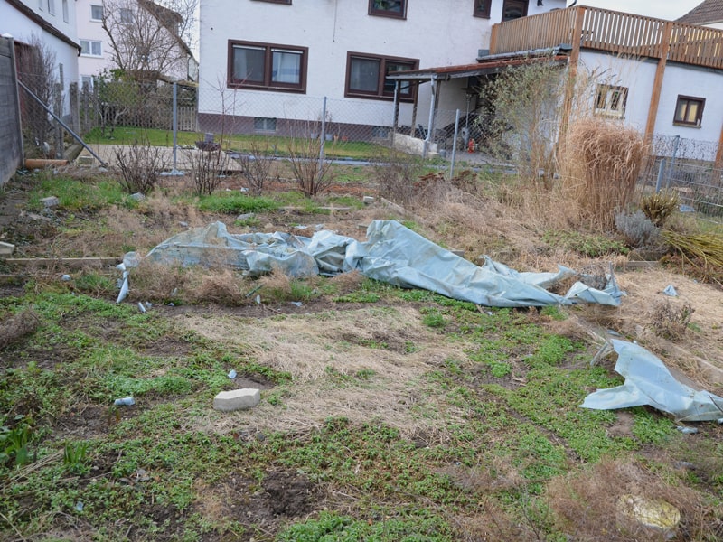 Ehemaliger Schulgarten ungepflegt und mit Unkraut bedeckt, hellblaue zerfetzte Plane liegt auf dem Boden.